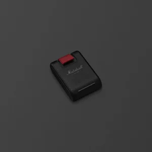 Pin LFP Battery 415 thay được của Marshall Bromley 150 District M