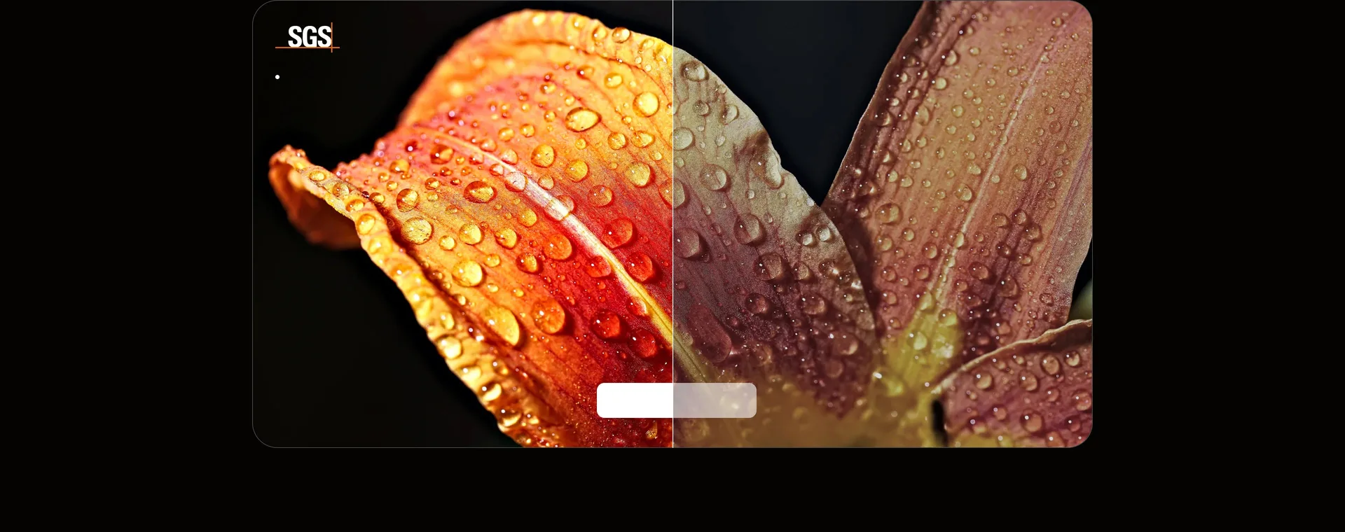 XGIMI Elfin Flip 4K màu sắc Delta E dưới 1 SGS