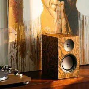 Loa Kanto TUK G2 vân burl dưới ánh nắng cạnh mâm TEAC