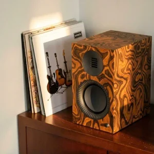 Loa Kanto TUK G2 Burl Gunmetal cạnh chồng đĩa than